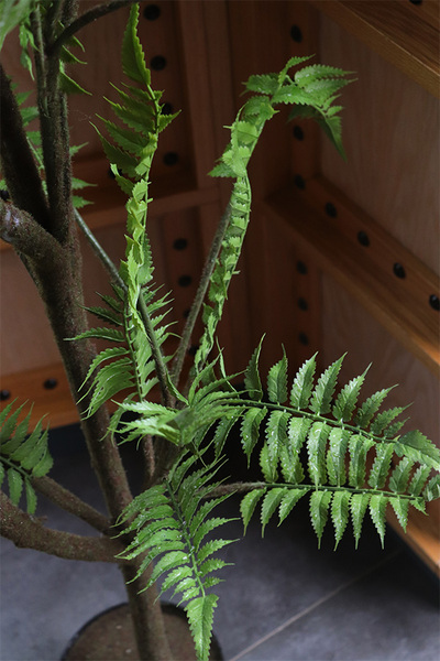 Paproć skórzasta, sztuczne drzewko w osłonce