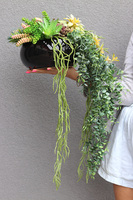 Green Delia, zielona kompozycja z sukulentami, wym.25x32cm