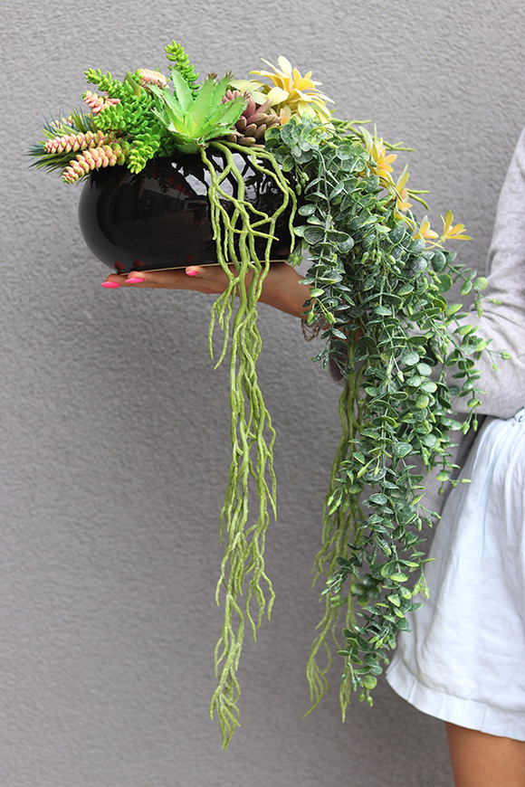 Green Delia, zielona kompozycja z sukulentami, wym.25x32cm