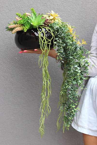 Green Delia, zielona kompozycja z sukulentami, wym.25x32cm