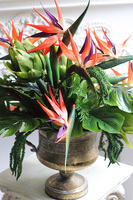 Strelicja Palace, egzotyczna dekoracja w pucharze