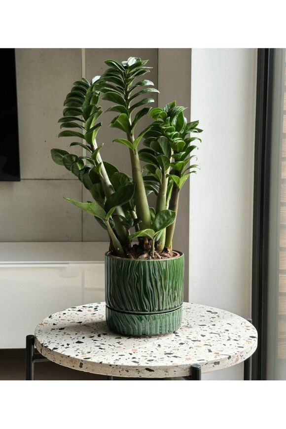 Vintage Mare, ceramiczna doniczka z podstawką