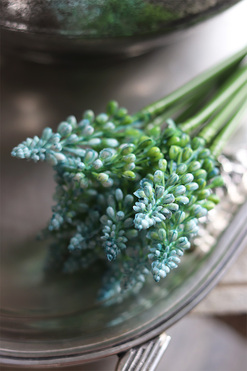 Szafirki, bukiecik turkus, dł.25cm, 12szt. w bukiecie