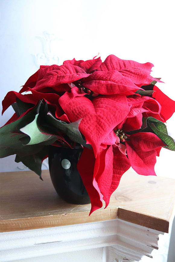 Gwiazda Betlejemska Czerń 2, wysokiej jakości sztuczna roślina