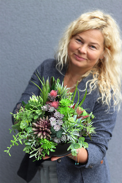 Anna Maria Black Big, kompozycja sukulenty w okrągłej donicy, wys.27cm