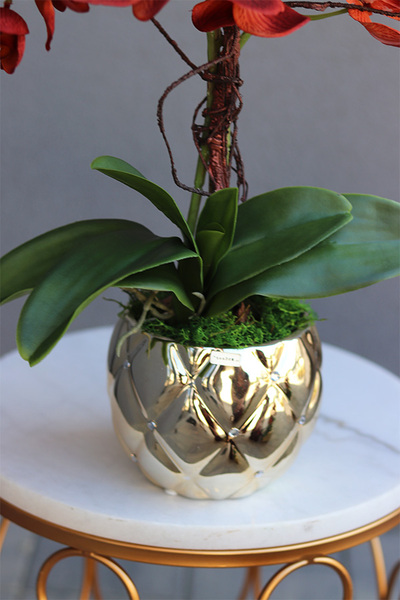 miedziany storczyk w złotej donicy, Diamond Red, wys.53cm 