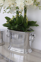 Cooler Fresco Italia, ekskluzywny sztuczny storczyk