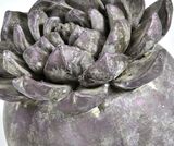 Lill Old, dekoracyjna figurka, wym.14x13.5cm