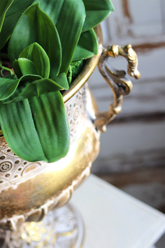 bogaty storczyk w złotym pucharze, Palazzino, wys.100cm