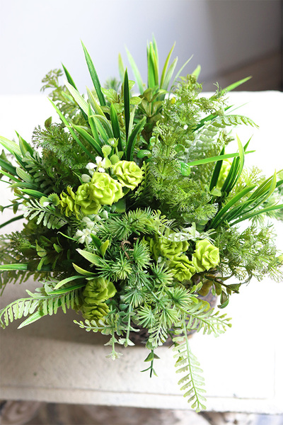 Ferade, sukulenty w nowoczesnej donicy