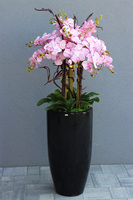 Grande Fiberglass Black, pudrowy storczyk w wysokiej czarnej donicy, wys.125cm