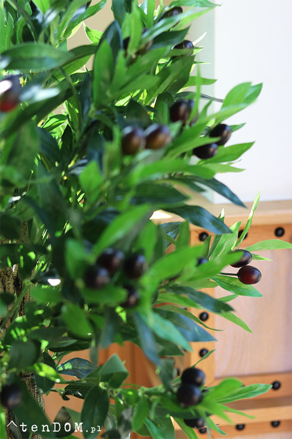 Drzewko Oliwne, sztuczna roślina w doniczce