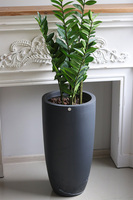 Zamiokulkas Concrete, sztuczne drzewko w betonowej donicy