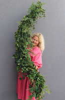 Bluszcz & Paproć 2, zielona girlanda