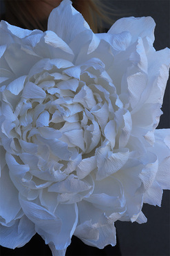 Paper Flower Ł, ręcznie robiony kwiat papierowy, wym.32x15cm