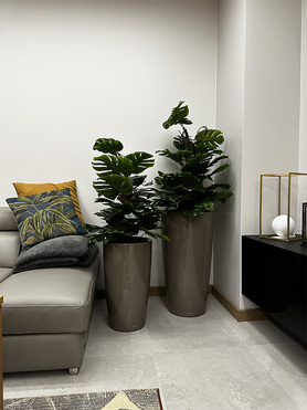 Monstera Rondo Taupe, sztuczna roślina w donicy, niższa, wys.128cm