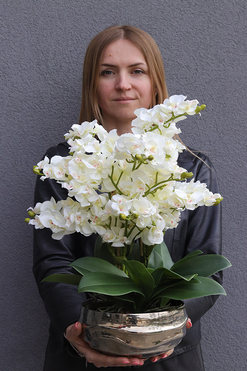 OD RĘKI Deluxe Delicatia, sztuczny storczyk w srebrnej misie, wys.48cm
