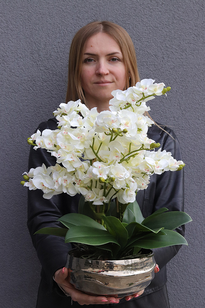 Deluxe Delicatia, sztuczny storczyk w srebrnej misie