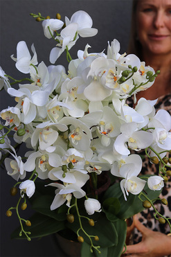 Jeanne Gold Big, storczyk w złotej doniczce, wys.73cm 