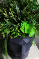 Adonis Head, nowoczesna dekoracja zielona w głowie