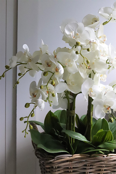 Rattania Provance A, sztuczny storczyk w wiklinowym koszu