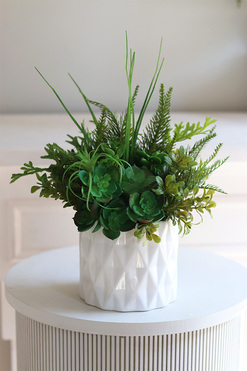 OD RĘKI Forenia B, zielona kompozycja z sukulentami, wym.30cm