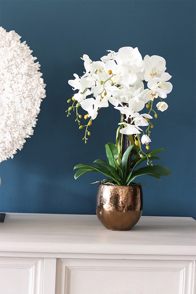 Galona 2, elegancki storczyk w złotej donicy, wys.60cm