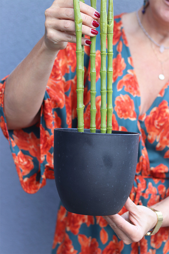 Bambus, sztuczne drzewko w osłonce donicy