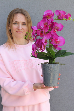 OD RĘKI Fuksja Grimana, gumowy storczyk w naczyniu, wys.50cm