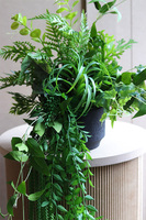 Zielona Poświata, kompozycja sukulenty w lustrzanej donicy