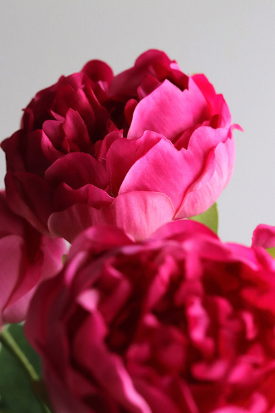 Real Peony, bukiet realistycznych peonii