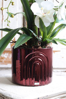 Cherry Wine Moment, storczyk w czerwonej doniczce