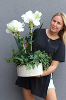 Amarylis Biel, wysokiej jakości sztuczna roślina w kremowej donicy, wys.70cm