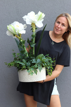 Amarylis Biel, wysokiej jakości sztuczna roślina w kremowej donicy, wys.70cm 