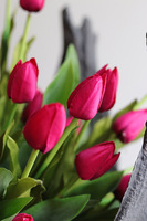 Volcan Magenta Tulips, kompozycja nagrobna w misie