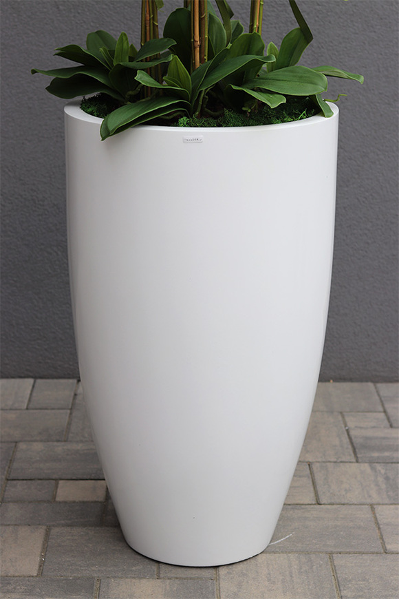 Grande Fiberglass White, efektowny storczyk w białej donicy