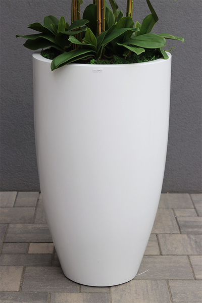 Grande Fiberglass White, efektowny storczyk w białej donicy