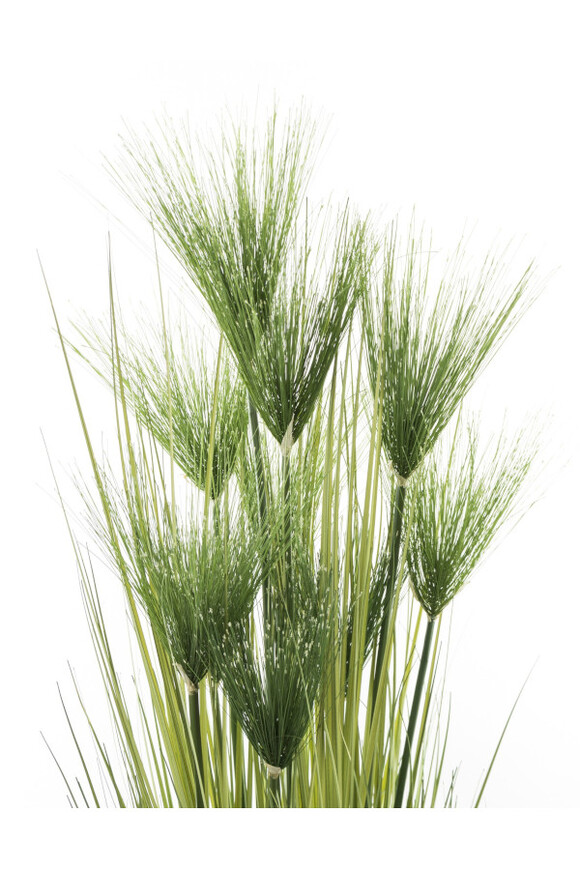 Derina A, sztuczna trawa z kwiatostanami, wys.120x40cm