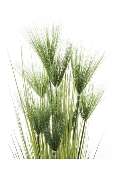 Derina A, sztuczna trawa z kwiatostanami, wys.120x40cm