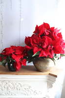 Gwiazda Betlejemska Czerń 2, wysokiej jakości sztuczna roślina