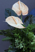 Anturium Cappucino, bukiet nagrobny we wkładzie