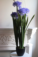 Niebieski Czosnek Ozdobny, sztuczna roślina w plastikowej osłonce