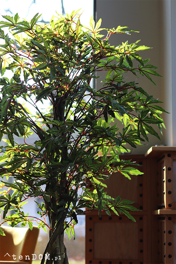 Klon Japoński, sztuczna roślina w złotej donicy