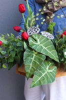 Tulipa Red, dekoracja nagrobna z tulipanami, wym.55x84cm