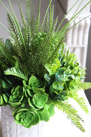 Jerudo A, kompozycja sukulenty w białej donicy, wys.27cm