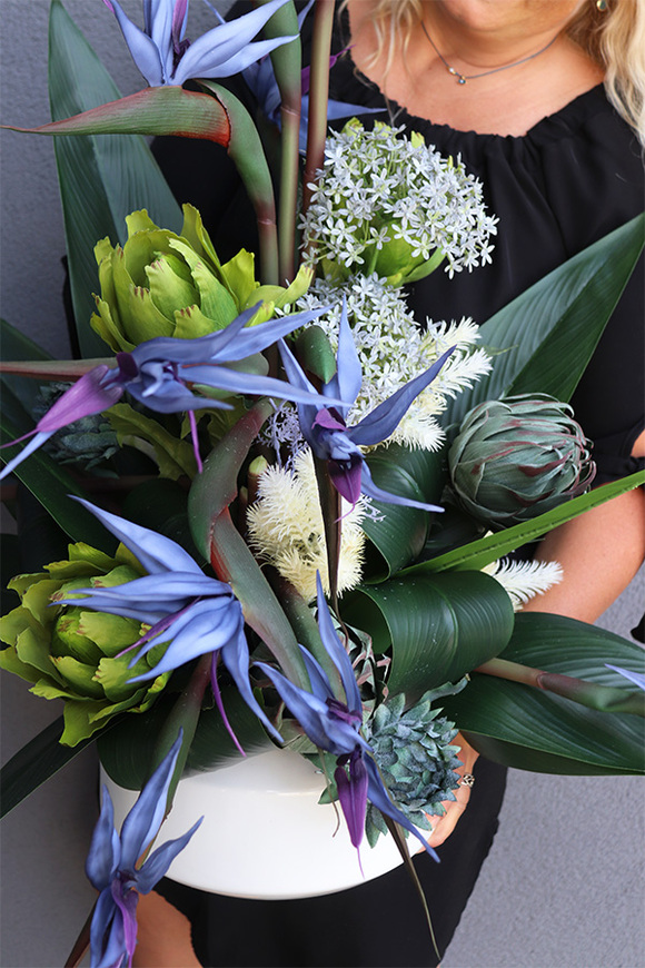 Niebieska Strelicja 2, egzotyczna kompozycja w donicy