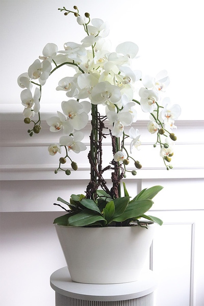 sztuczny storczyk w wąskiej donicy