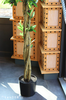 Drzewko Oliwne, sztuczna roślina w doniczce