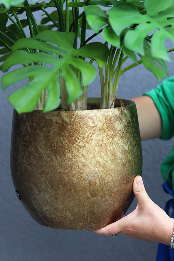 Monstera Gold Hilton 3, drzewko sztuczne w donicy