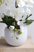 Bielleni, stylowy storczyk w doniczce ze wzorem